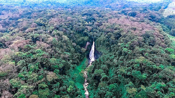 Waterfall in Kahuzi-Biega National Park, Democratic Republic of the Congo. (Forest Service photo by Roni Ziade)