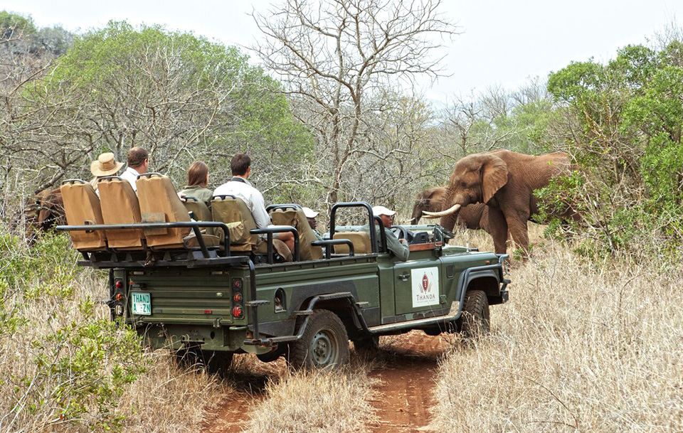 Thanda Safari