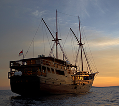 Halmahera, Indonesia diving on board Damai 1, April 22-May 3 2028 Group Trip