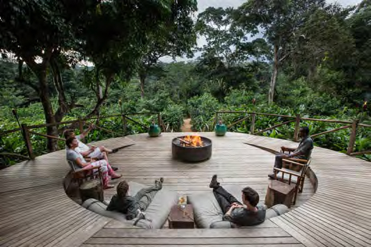 Ngaga Lodge - Kamba/Republic of Congo with Cindi LaRaia, March 8-16, 2026 Group Trip