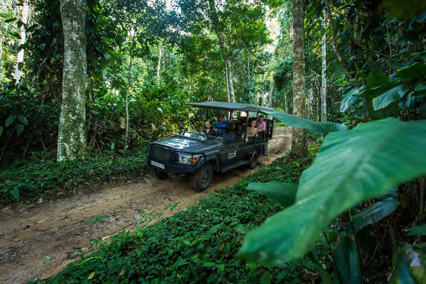 Game drive - Kamba/Republic of Congo with Cindi LaRaia, March 8-16, 2026 Group Trip