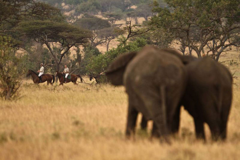 Ride Kenya Mara + Ride Kenya Chyulu Hills