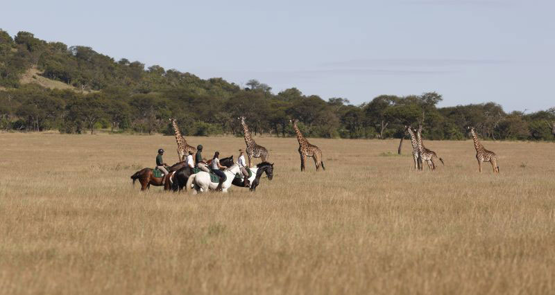 Ride Kenya Mara + Ride Kenya Chyulu Hills