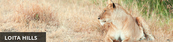 Loita Hills, Kenya