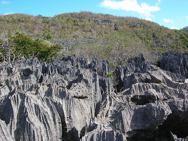 Tsingy in Ankarana