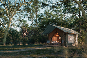 Chicari Camp