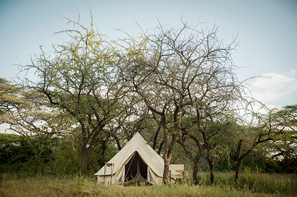 Tent - Adventure Fly Camping