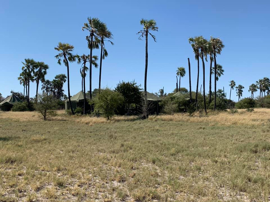 Jacks Camp ~ Makadikadi Pan Kalahari, Botswana