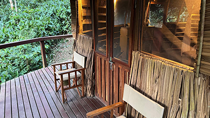 Ngaga Camp - Republic of the Congo, February 2026 Trip Report