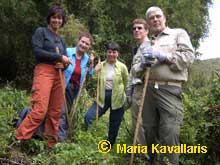 Trek with Gorillas