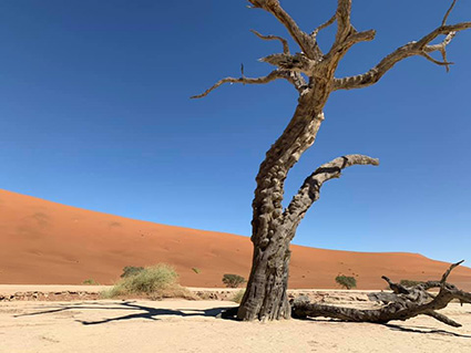 Sand dunes in Sossusvlei