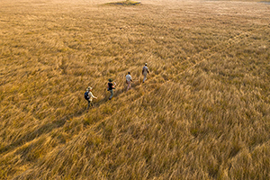 Walking safari - Chisa Busanga Camp