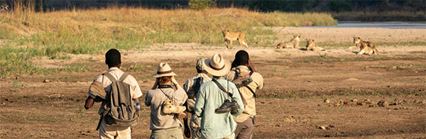 The Mobile Walking Safari - Zambia Safari