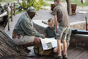 Somalisa Acacia, Hwange National Park, Zimbabwe